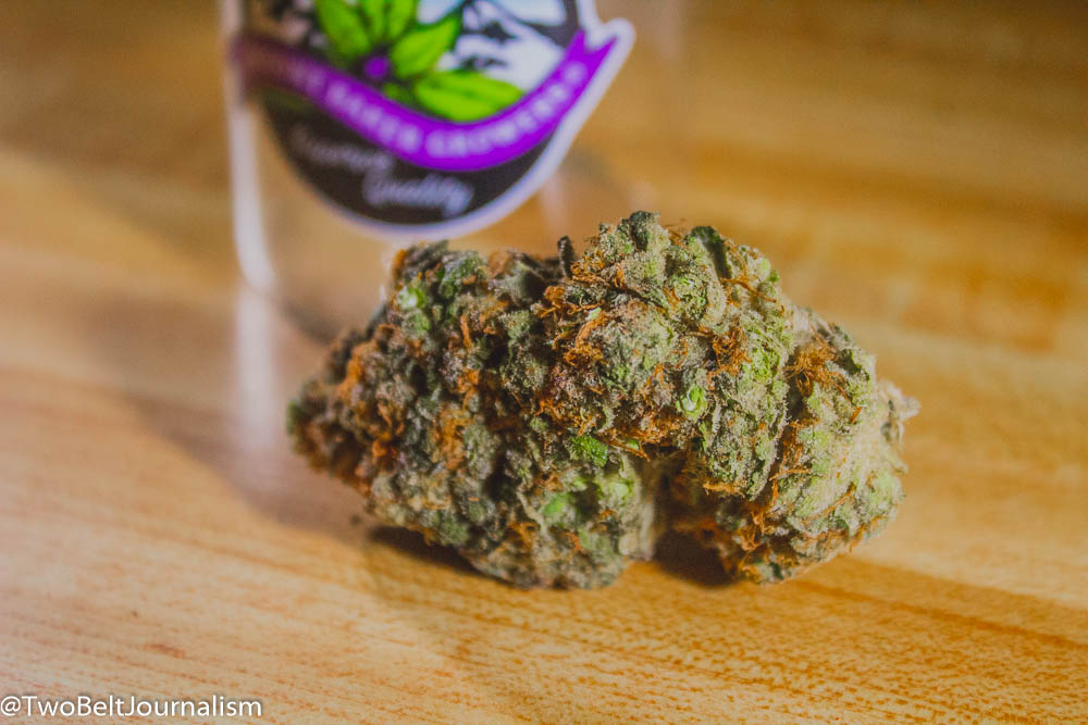 Sled Dawg Strain Review (Feat. Mount Baker Growers)