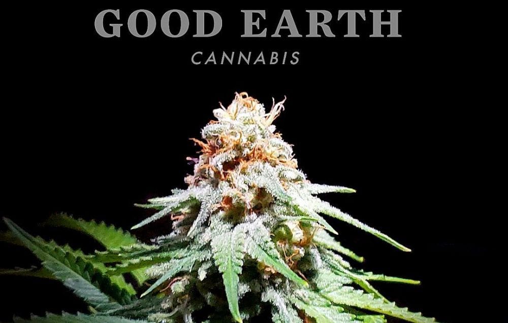 Good Earth Cannabis Celebrates "Good Earth Day" At All Apex Locations