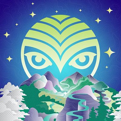 Shambhala Lineup For The Village Stage Has Been Announced