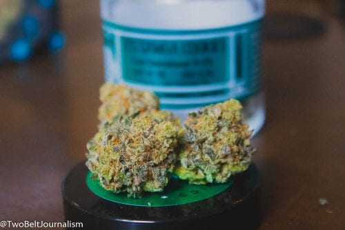 Tj's Organics Samoa Cookies Strain Review