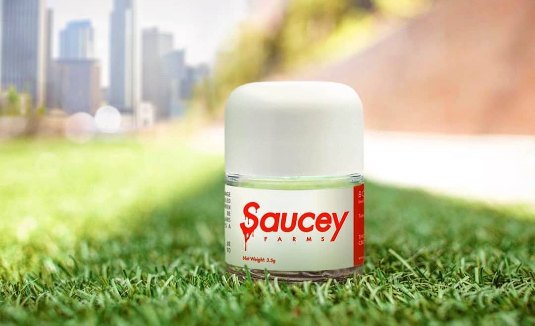 Saucey Farms Works With Major Artists To Elevate And Normalize Cannabis