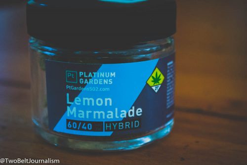 Platinum Gardens' Lemon Marmalade Cannabis Strain Review