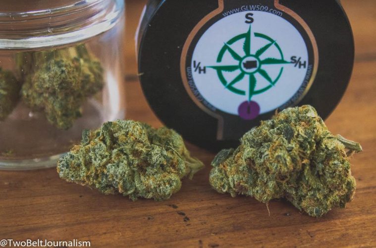 GLW Provides A Killer OG Cut With Their 'Black Jesus' Strain