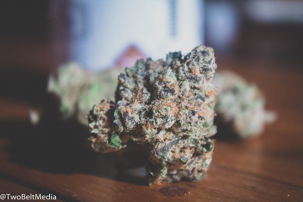 Mama J's Scooby Snacks Strain Is A Stanky Citrus Treat - Review