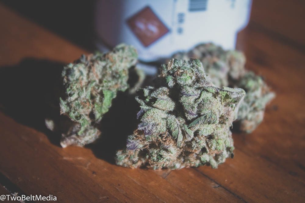 Mama J's Scooby Snacks Strain Is A Stanky Citrus Treat - Review