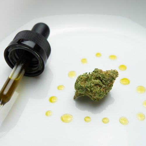 CBD And Opioid Addiction: The Role Cannibidiol Could Play In The Opioid Epidemic