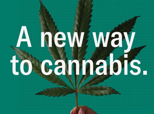 Leafly Creates New Visual Language With Re-Branded Cannabis Guide