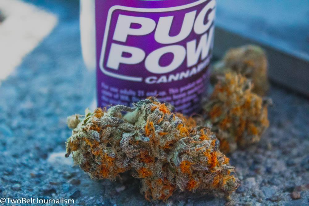 Florida Cake By Puget Power Cannabis Promotes Creativity Before Bed