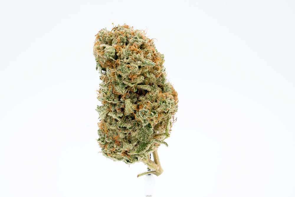 ZoZ Topic Truffle Strain Is A Solid Choice For Focus and Relaxation