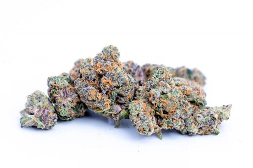 Best Strain Washington Cookies' Gary Payton Strain Pays Homage To The Legendary Seattle SuperSonic