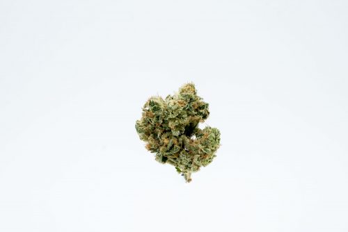 Rosebud Growers’ NYC Chemdawg Is Skunky And Easy To Break Down