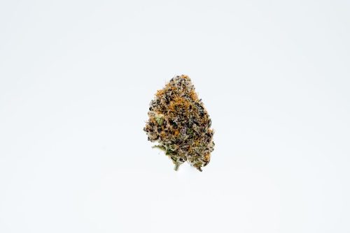 The Purple Punch Cannabis From Rosebud Growers Smells Like Creamy Fresh-Baked Muffins