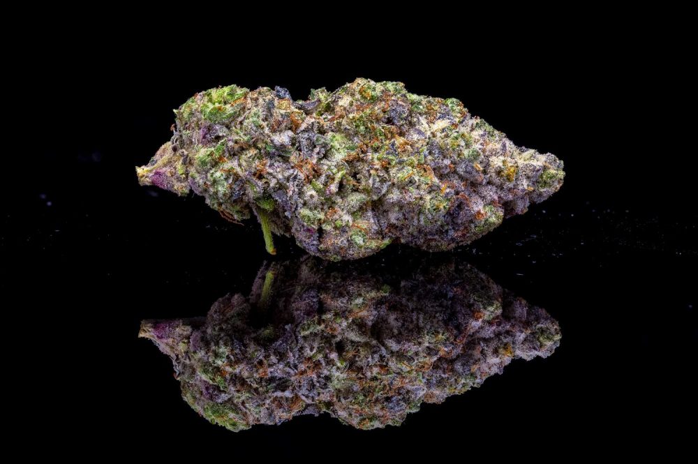 RMR's Picks For Best Cannabis Strains of 2024

The Whoa-Si-Whoa Strain Origin Story: Top-Shelf Cultivation Exclusive Interview