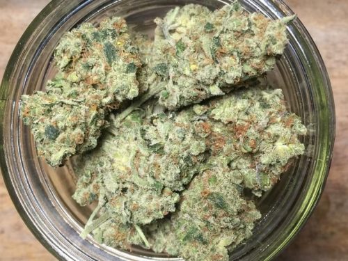 The New York City Diesel Strain Smells Like Citrus, Gas, and Pepper