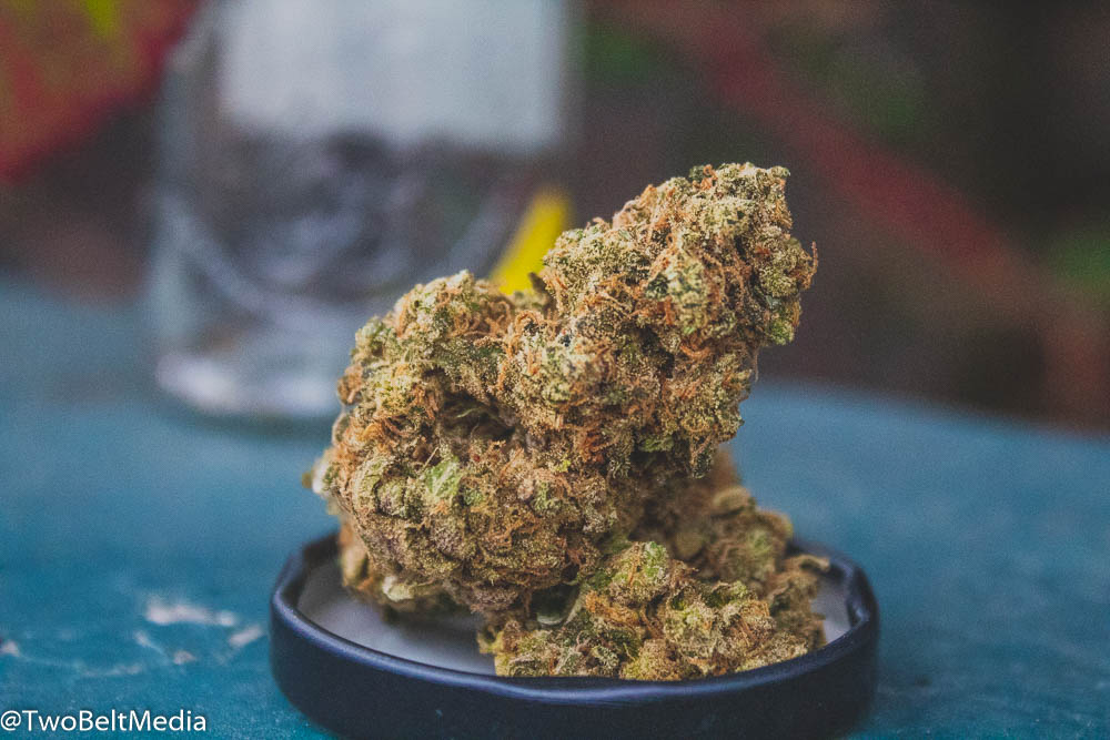 The Kush Brother's Squeeze Strain Is An Ode To The Legendary Lemon G Strain Genetics