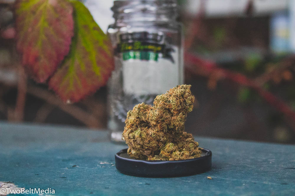 The Kush Brother's Squeeze Strain Is An Ode To The Legendary Lemon G Strain Genetics