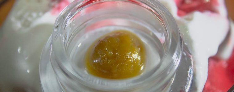 Rosin For Rookies: What You Need To Know About Live-Rosin and Cured Rosin