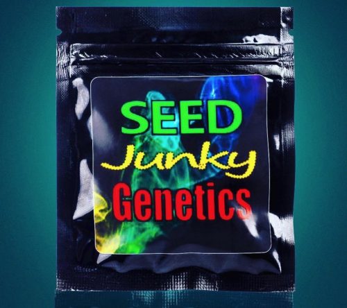 Ten Absolutely Fire Seed Junky Genetics Strains Worth Trying