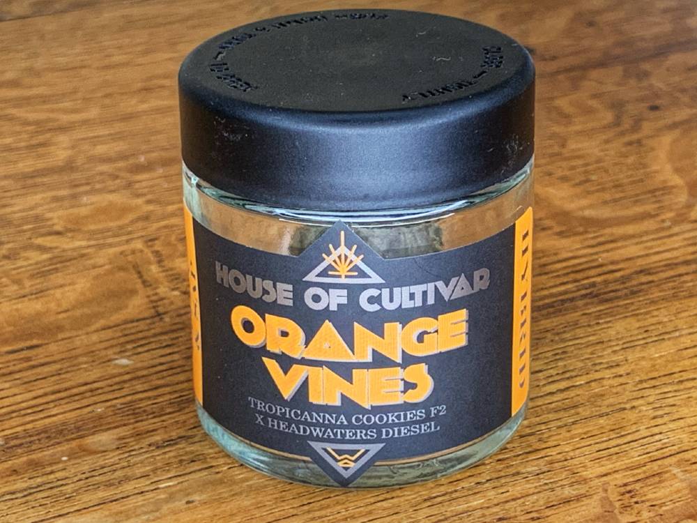 Orange Vines: Blending Tropicanna Cookies And Headwaters Diesel