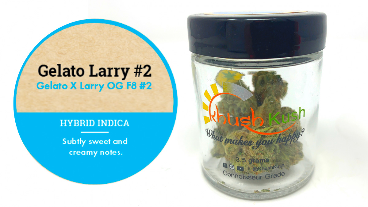 KhushKush Gelato Larry #2