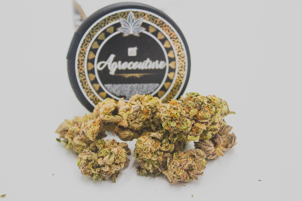 best strain washington Agro Couture Grows A Gluelato Strain With A Memorable and Pungent Gas/Glue Smell