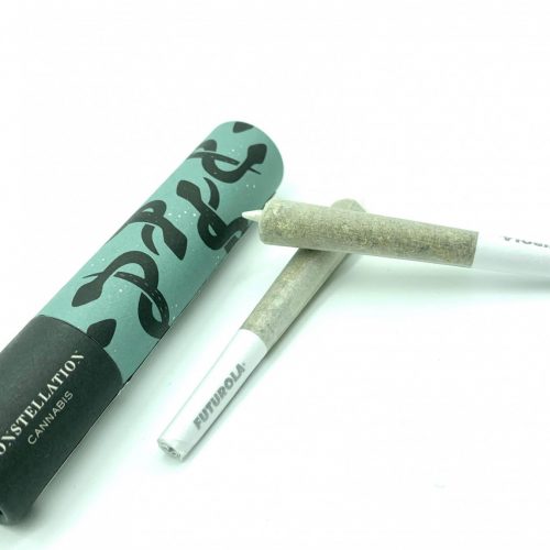 The Jungle Punch x Jungle Punch Hash Infused Pre-Roll Review Feat. Constellation Cannabis