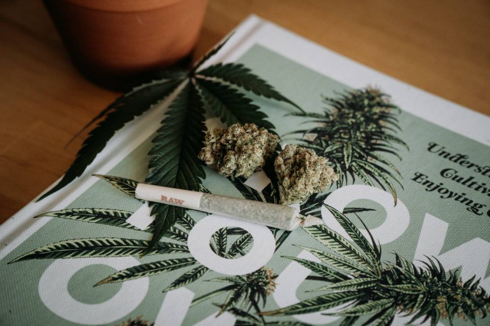 2020 Voting Guide For Medical and Recreational Cannabis