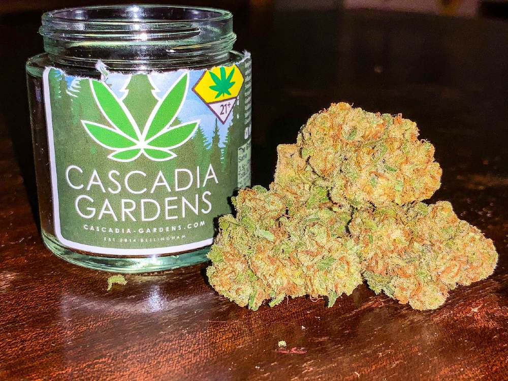 The Grapefruit Strain Review Featuring Cascadia Gardens