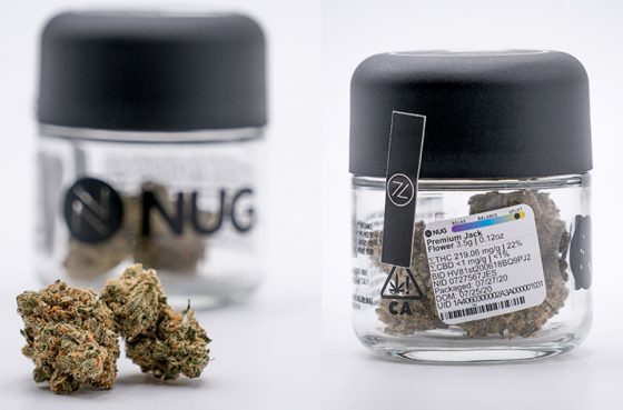 The Premium Jack Strain Review Featuring NUG In California