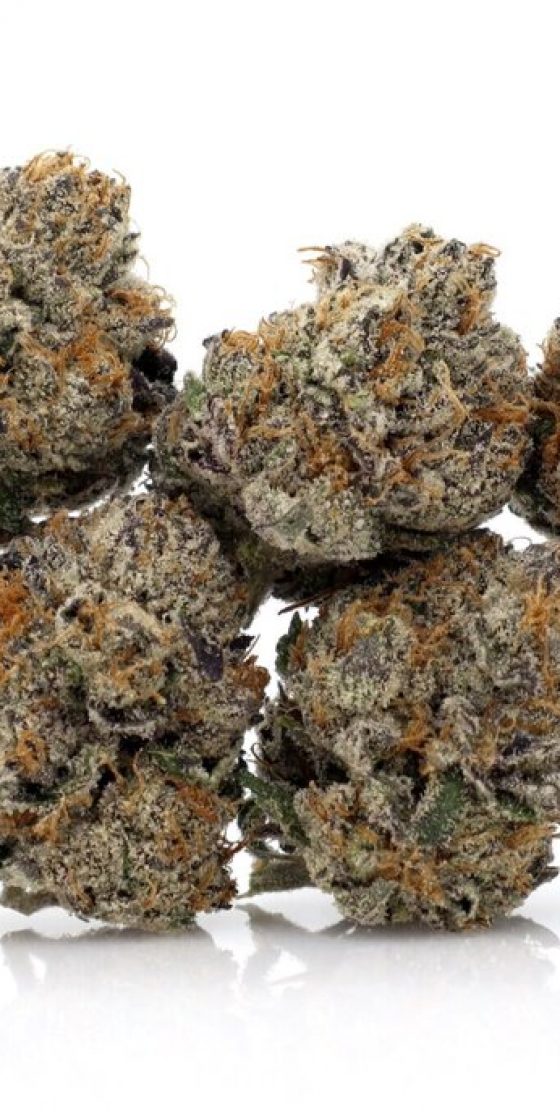 The Runtz Strain Review Featuring Re Up Farms