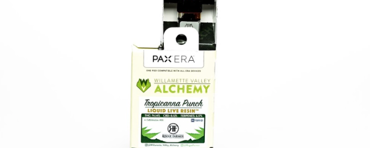 The Tropicanna Punch Live Resin PAX Pod Review Featuring Willamette Valley Alchemy, Rogue Farmer, and The PAX Era Pro Vaporizer