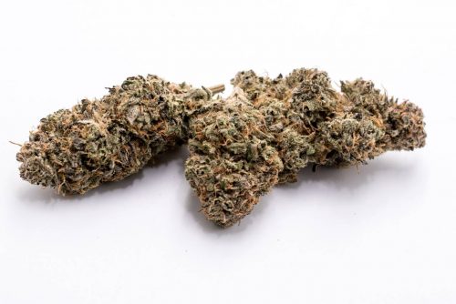 Lemon Ozium Strain Review Featuring Cloud Cover Cannabis In Oregon