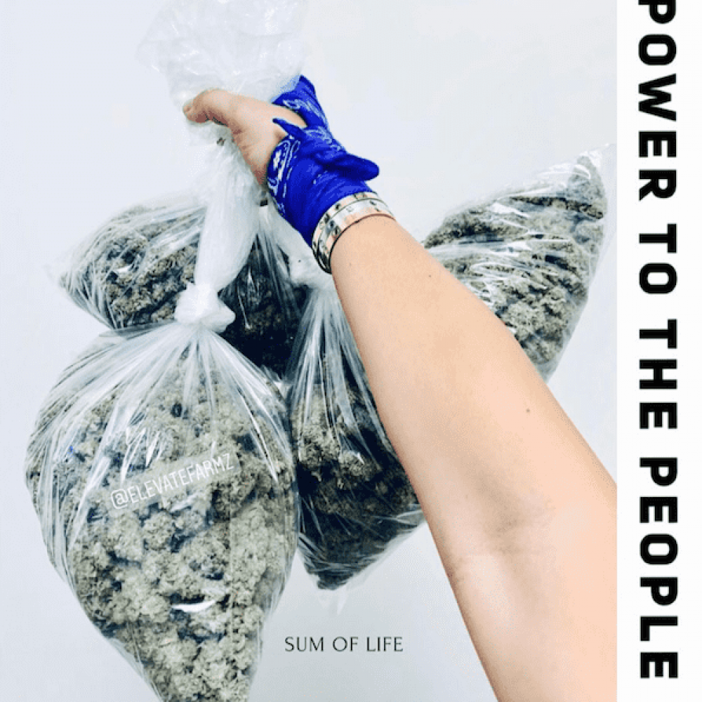 Cannabis Social Equity Business Flyer "Power to the people"