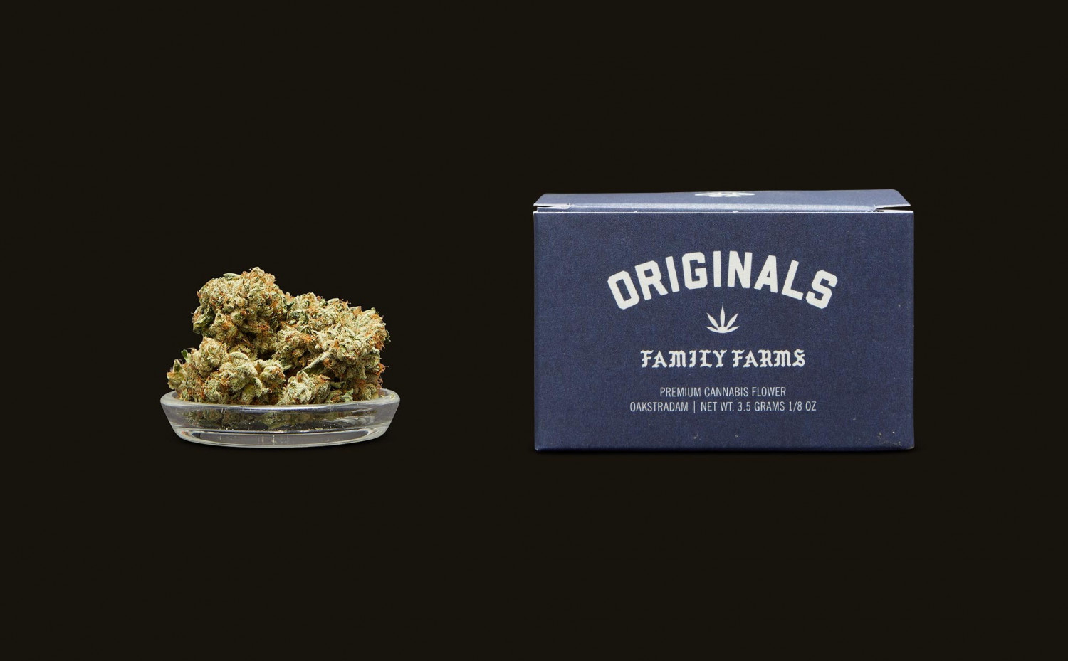 Oakstradam OG: A Super Sweet And Piney Indica That Is Great For Pain