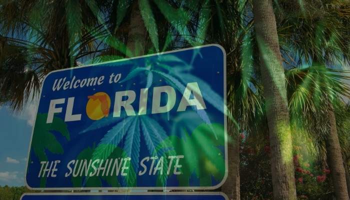 Florida Weed Dispensaries