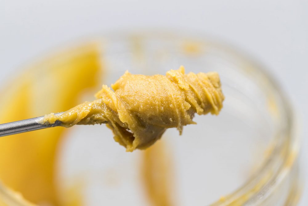 Rosin in Florida 