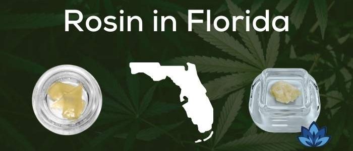 6 Florida Weed Dispensaries that Offer Rosin