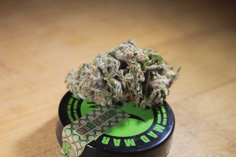 Gelato Strain: Infamously Fruity And Creamy Terps With Tranquilizing Highs