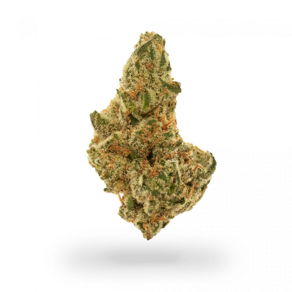 Silicon Valley OG - Grow Healthy Cannabis Flower in Florida