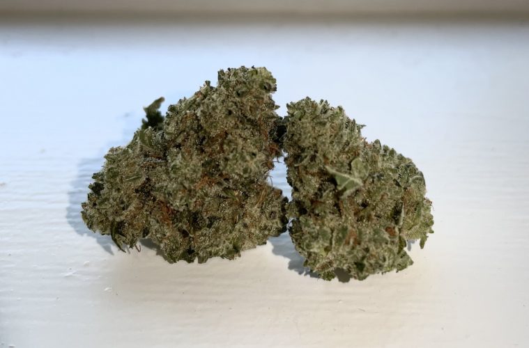 Astraeus Strain Review Featuring FLUENT Dispensary in Florida