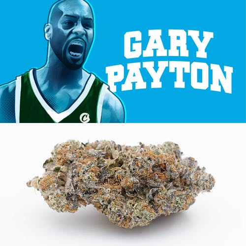 Gary Payton Strain Review