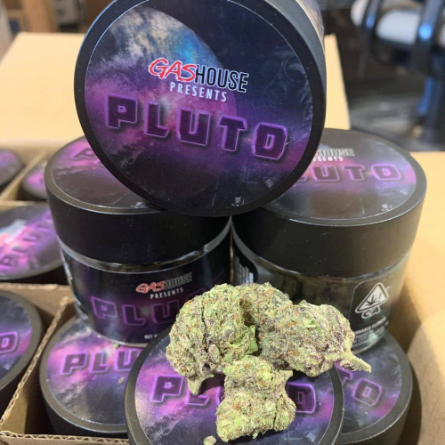 pluto strain gas house weed