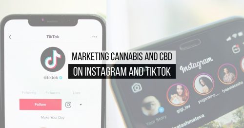 7 Tips For Marketing Cannabis and CBD On TikTok and Instagram