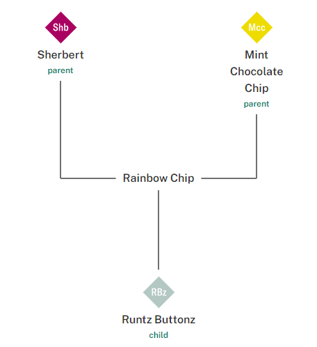 rainbow chip strain