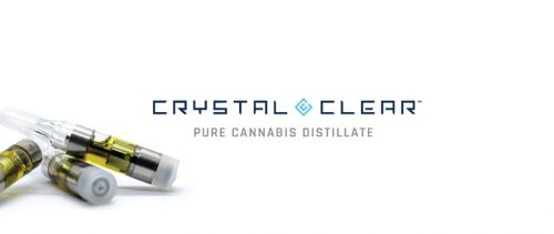 Runtz Strain Distillate Vape Review Featuring Crystal Clear By 4Front