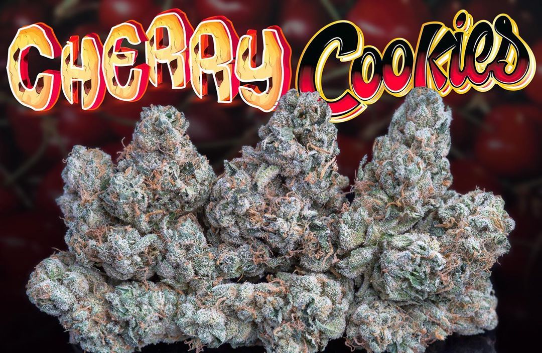 The Elusive Cherry Cookies Strain From Jungle Boys Is Packed With Sweet And Nutty Flavors