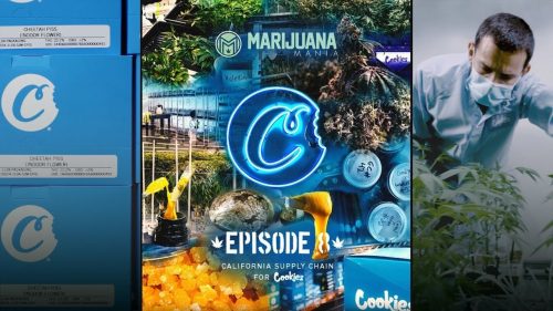 Cookies Supply Chain: Marijuana Mania Episode 8 With Berner Breaks Down His CA Infrastructure