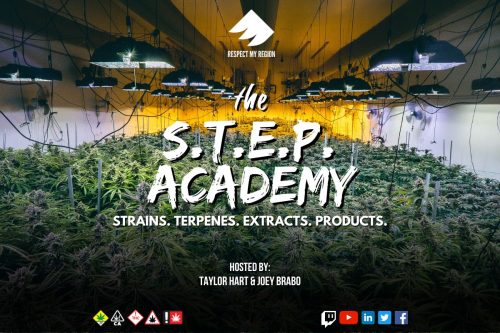 STEP Academy Aims To Give Budtenders Essential Information To Better Serve Customers