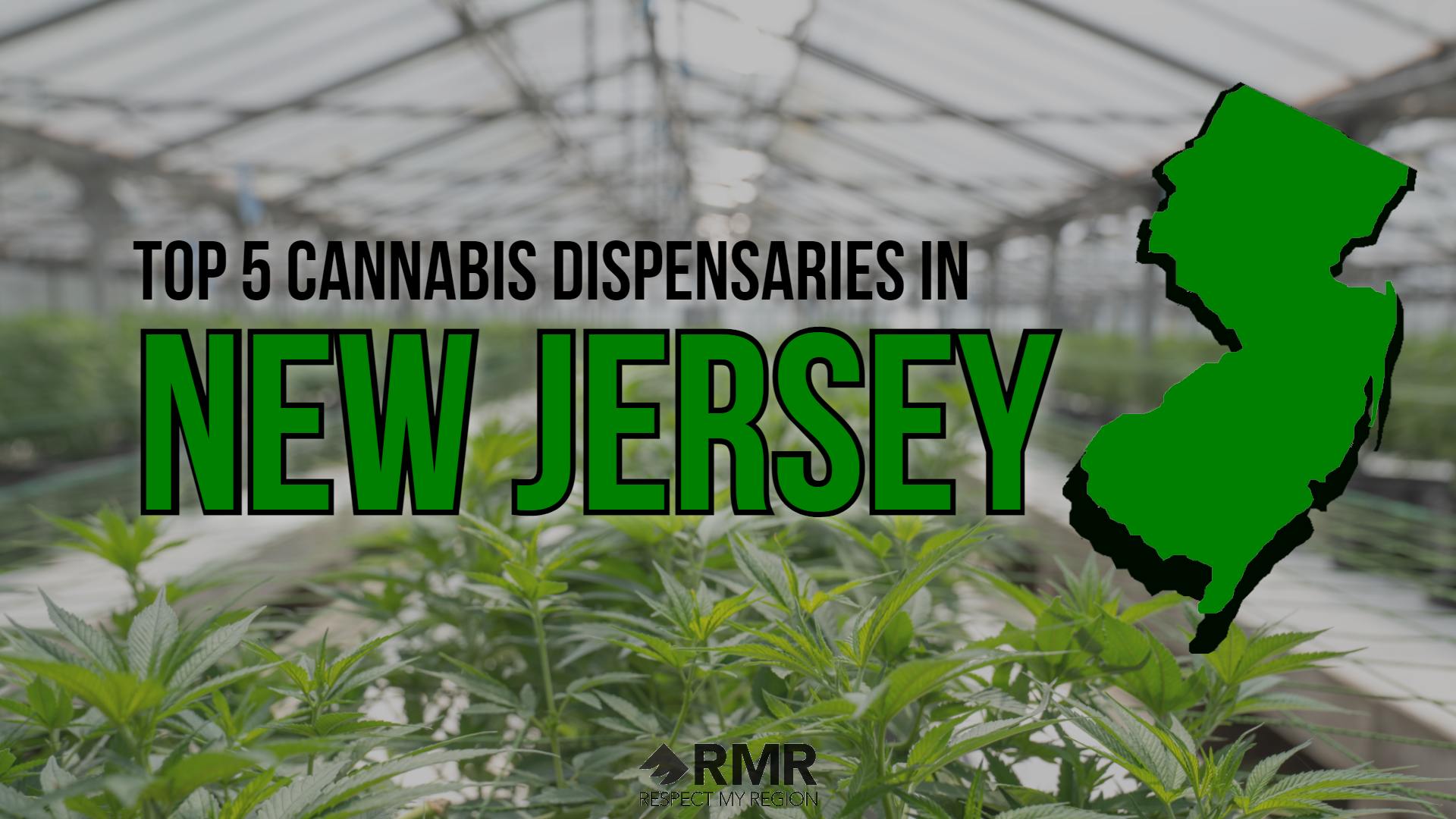 top 5 cannabis dispensaries in new jersey