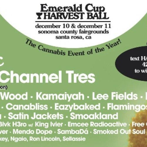 emerald cup harvest ball music line-up